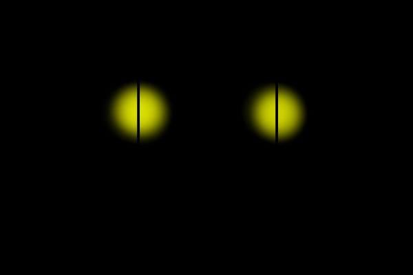 Eyes glowing in the darkness
