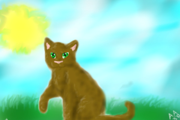 Airbrush Cat