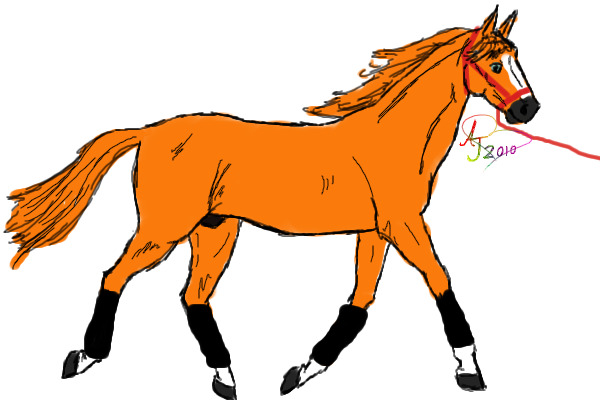 Chesnut stallion