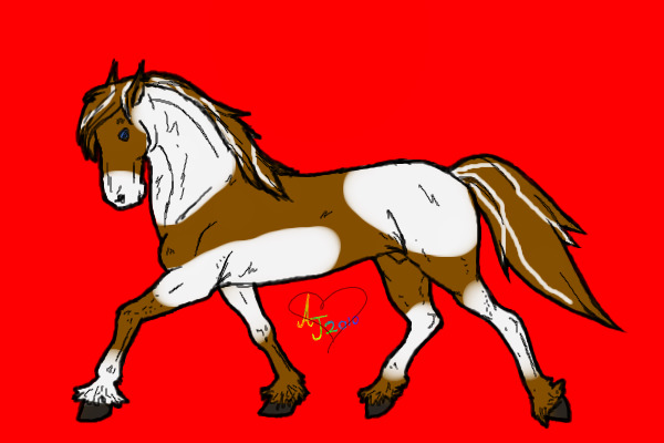 Pinto stallion
