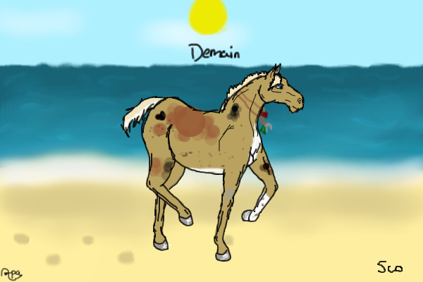 Demain- Horse Form.