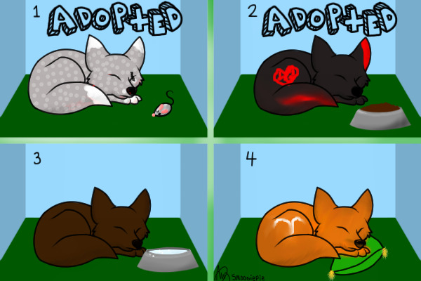 Foxes up for Adoption