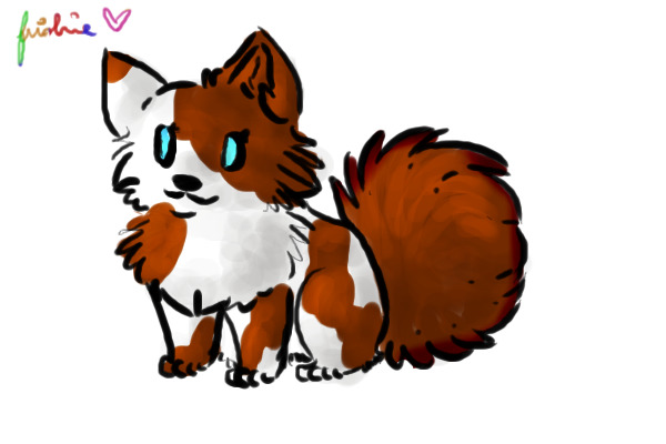 Brown and white puppy