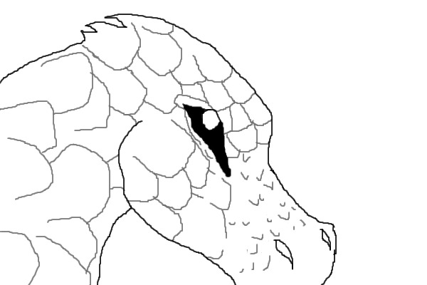 Horse-ish Dragon Lineart :P