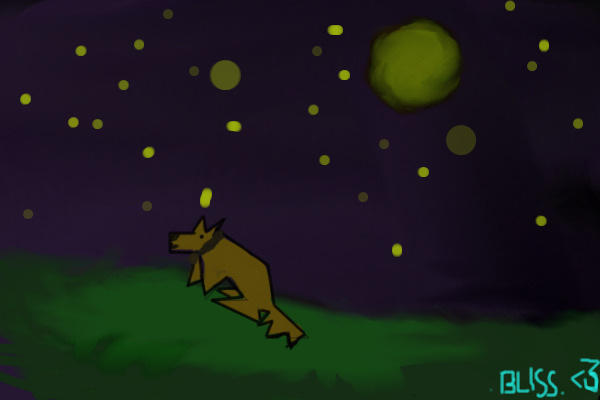 NIght dog