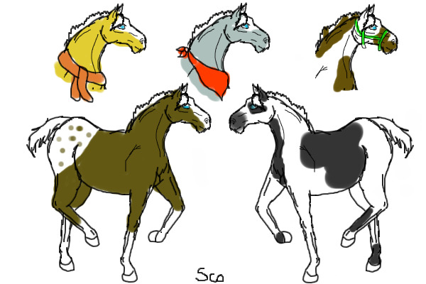 foals
