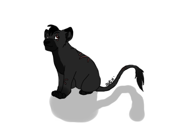 Zareb: A Lion Cub