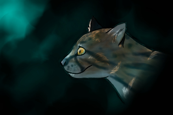 Ocelot
