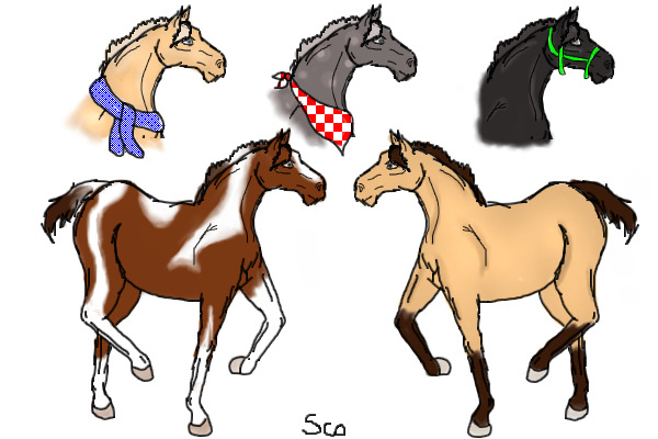 Some foals