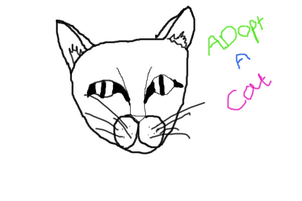adopt a first time drawn cat