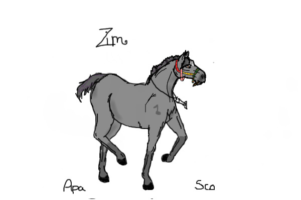 Zim