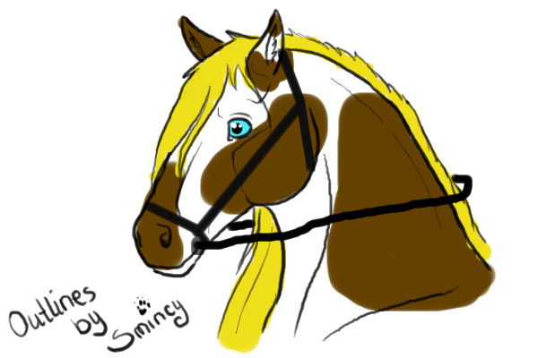 Horse