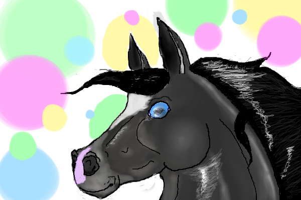 horse practice