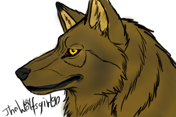 A wolf