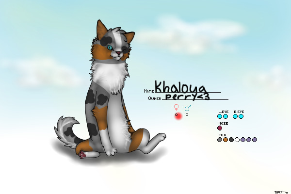 Khaloua - Warrior Cat/Kittypet form!