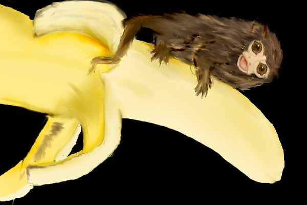 sideways monkey! 0_o