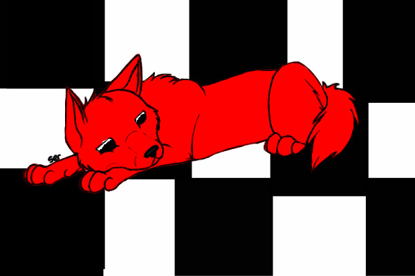 checker dog
