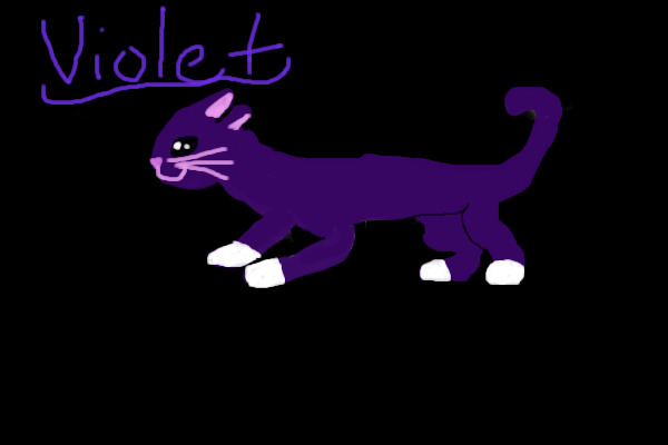 Violet the cat