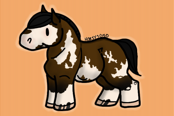 Bay paint horse