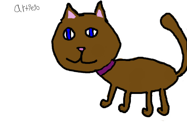 cat