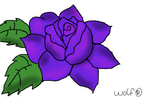 Purple Rose