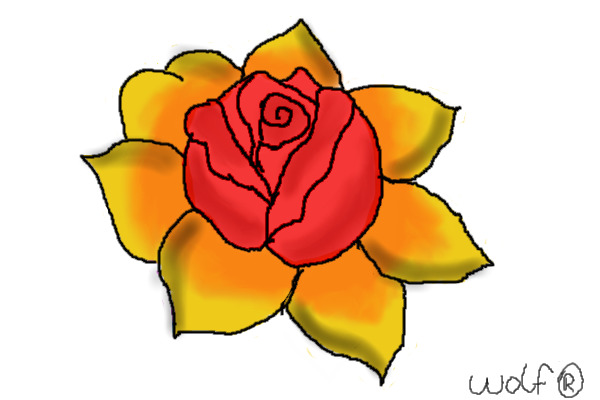 Sunrise Rose
