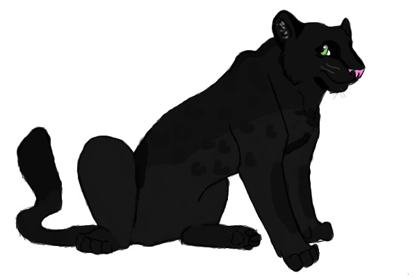 A panther