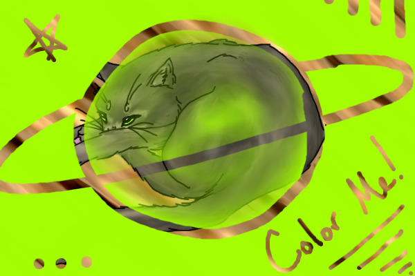 Curled Cat