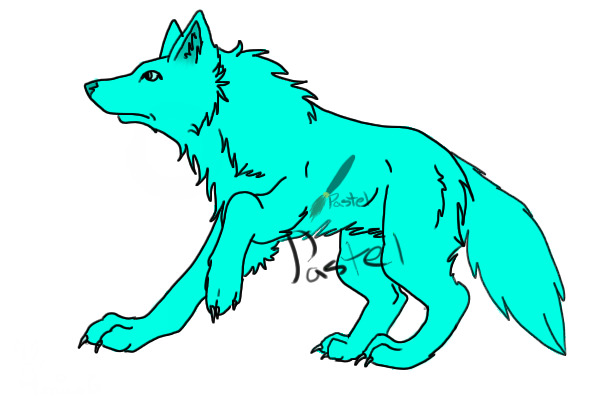 Adopt a wolf!