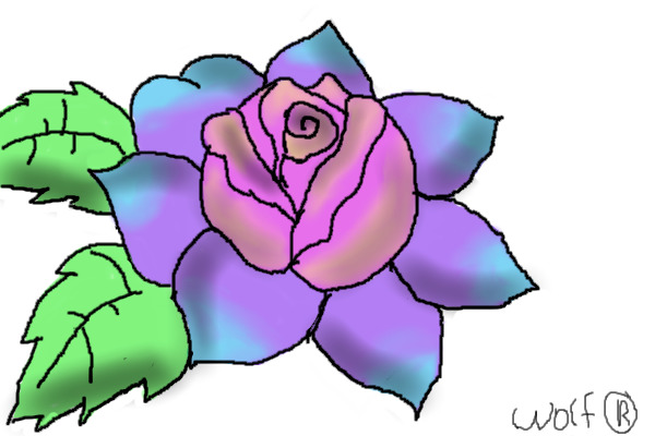 Easter Rose