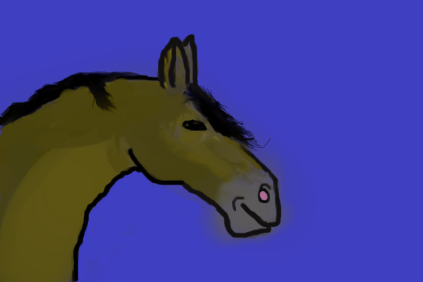 Horsey horse xD