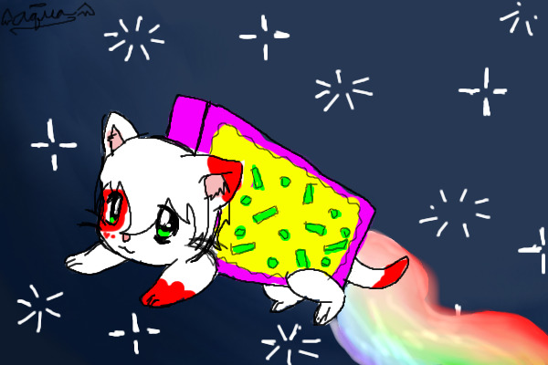 Adorable Luna Poptartcat