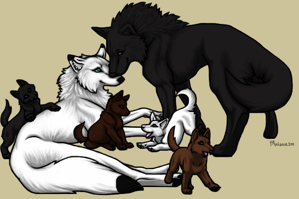 WolfQuest family