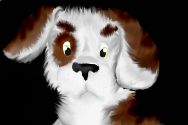 Puppy