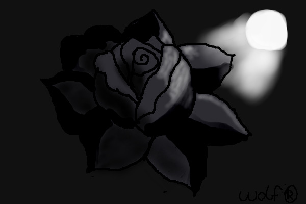 The Last Rose