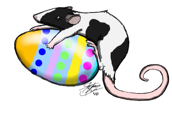 my mouse