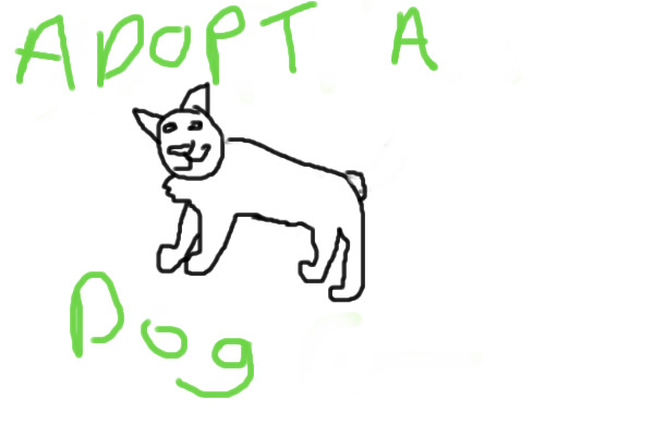 Adopt a dog