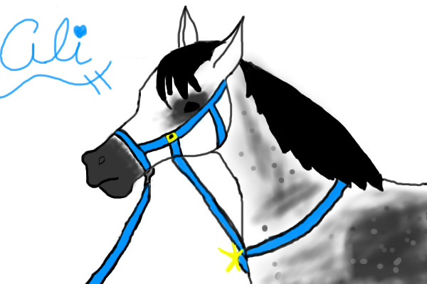Arabian