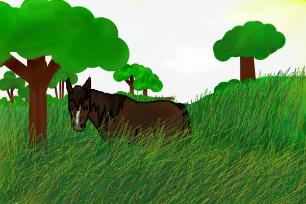 Wild horse in the grass