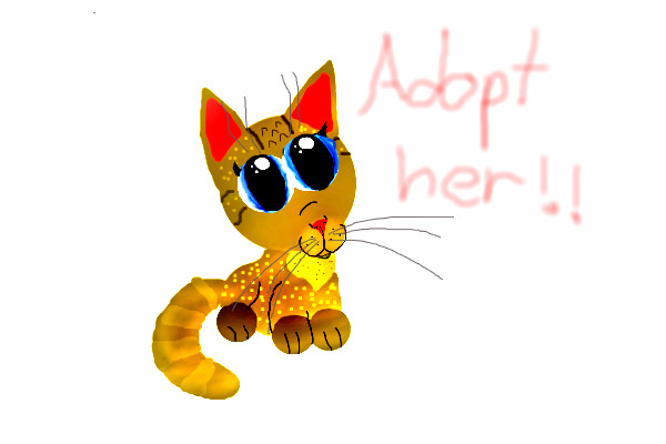 Kitten for adoption!
