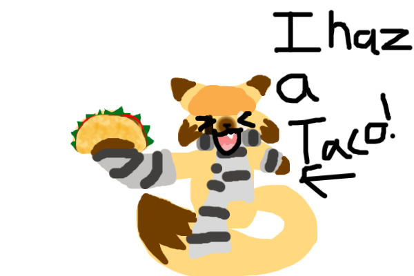 TACO TIME!