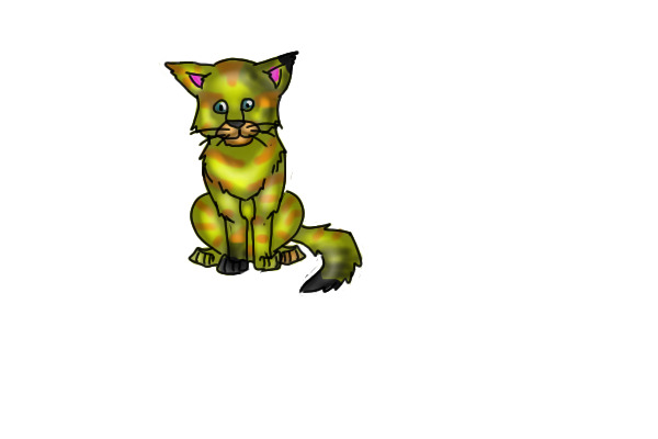 Kitten 4-GildasxKirjava