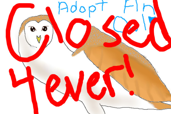 Adopt A Free Owl!