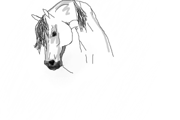 Horse Head ;)