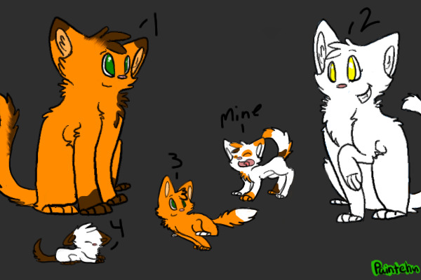 Kitty Family for Adoption