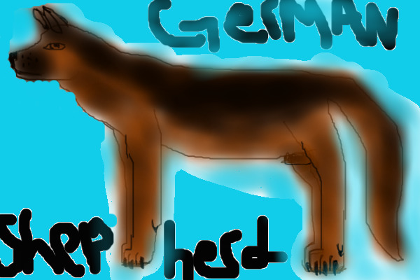 My German Shepherd Drawing