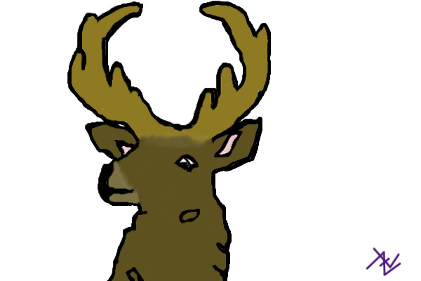 Deer Head Practice