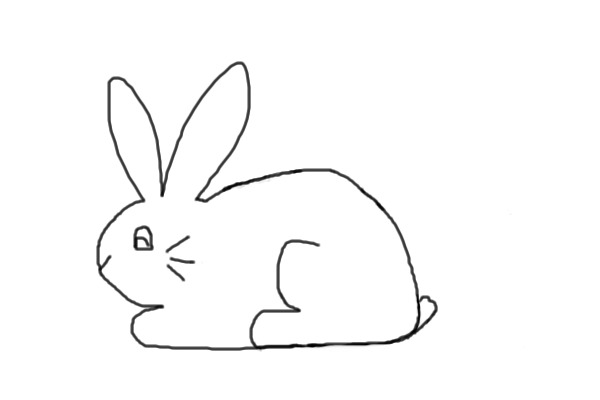 Bunny Coloring Contest