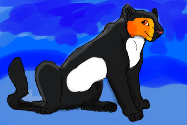 Penguin Cat