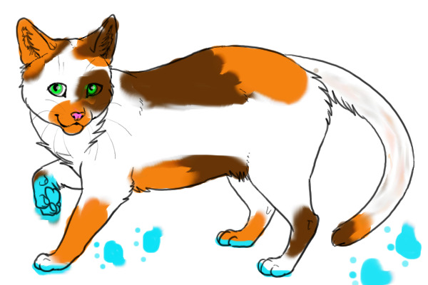 Messy Kitty
